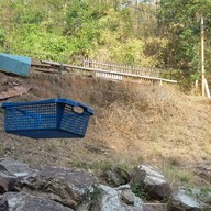 ร้านพิงค์ & แพน