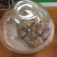 Suksawat Coffee DoL หลังสวน