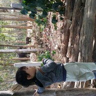 เพลินมาลี