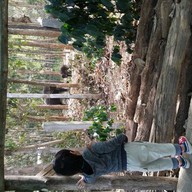 เพลินมาลี