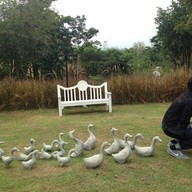 อีเดนการ์เดน