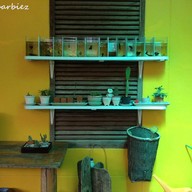 บรรยากาศ Fruit Factory
