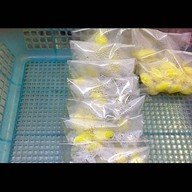 เมนูของร้าน ขนมปังสังขยาชากแง้ว