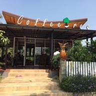 Coffee Tree
