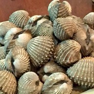 เมนูของร้าน จ่านูญ (จอ.หอ 7/08) ตลาดกลาง อยุธยา