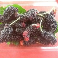 เมนูของร้าน Siam Thai Fruit Icecream ตลาดเกษตร มอ.