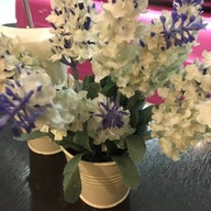 Tate Cafe Suvannabhumi Airport