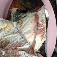 น้อยไก่ย่าง
