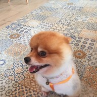 ต้วนี้ของลูกค้าท่านอื่น