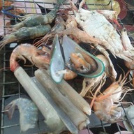 ตังค์เต็ม กุ้งย่าง ติวานนท์