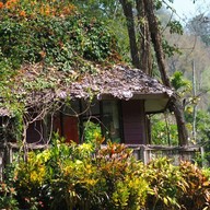 Atmosphere of Veranda Cafe