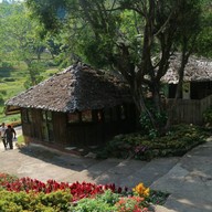 Atmosphere of Veranda Cafe
