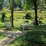 Atmosphere of Veranda Cafe