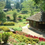 Atmosphere of Veranda Cafe