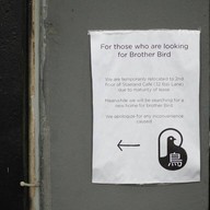 Brother Bird Milk & Croissants Stateland Cafe