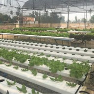 บรรยากาศ ชม-ลม Coffee And Farm