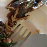 ณรงค์โภชนา