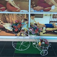 ชบา นวดแผนไทย