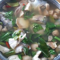 พฤกษา@เชียงใหม่