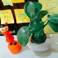 บิงซู in House Cafe
