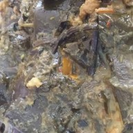 ข้าวแกงปักษ์ใต้พัทลุง