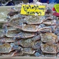 เจ๊ลีซีฟู้ด