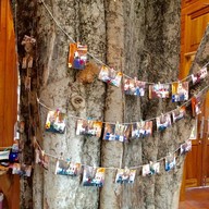 ที่นี่...รุจิ