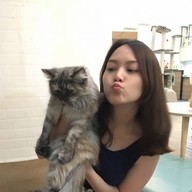 กลม Cat Cafe