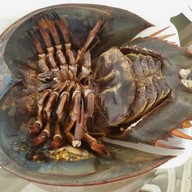 เมนูของร้าน เจ๊ลีซีฟู้ด