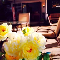 Moto-O @KKU มหาวิทยาลัยขอนแก่น