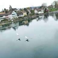 La P'tite Creperie Schmuki Junod (Stein am Rhein)