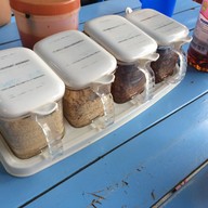 เดือนร่มไทร ไก่มะระ ปากเกร็ด