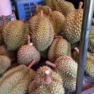 ทุเรียนหมอนทอง