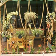 กาแฟอ๋อง