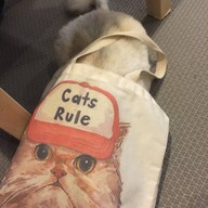 Purr Cat Cafe Club