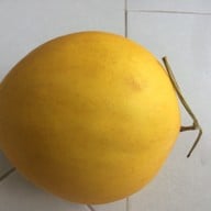 Big C ดอนจั่น