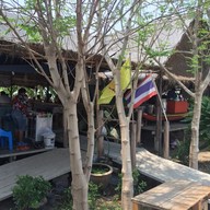 หน้าร้าน ก๋วยเตี๋ยวเรืออยุธยา