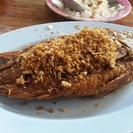 ลุงแห้งอาหารป่า ปลาแม่น้ำ