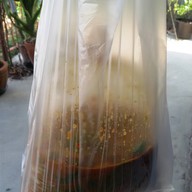 เมนูของร้าน พร