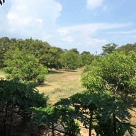 บรรยากาศ Boonsiri Kitchen