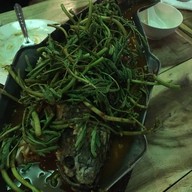 New มะละกอ BY JJJ