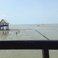 บรรยากาศ ทับทิมทอง