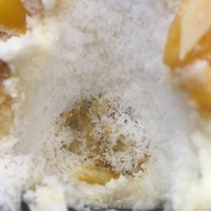 เมนูของร้าน Snow Tree Mega Bangna