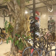 V. Bike Cafe