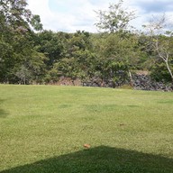 Donsak Orchid Resort (สวนกล้วยไม้ดอนสัก)