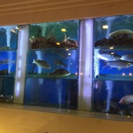 บรรยากาศ Singapore Seafood Republic