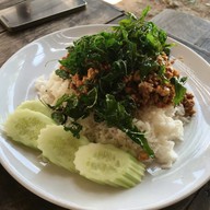 ต้นอ้อ