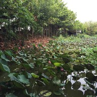 เมนูของร้าน บ่อตกปลากัปตัน  รังสิต