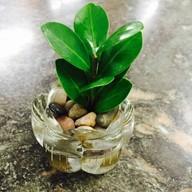 Zhong Tai Restaurant