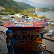 Hotel Route Inn Kawaguchiko